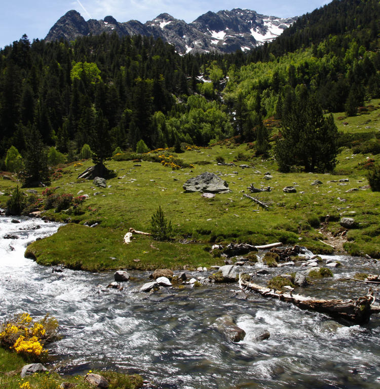 Apartaments Vall Ferrera Areu Buitenkant foto